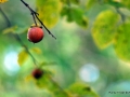 dsc_0200_0