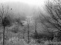 _DSC0034