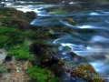_DSC0227