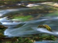 _DSC0248
