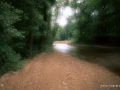 olw-stream-n