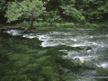 ozt-blue-springs-n