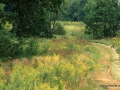 pfv-rockbridgen-1