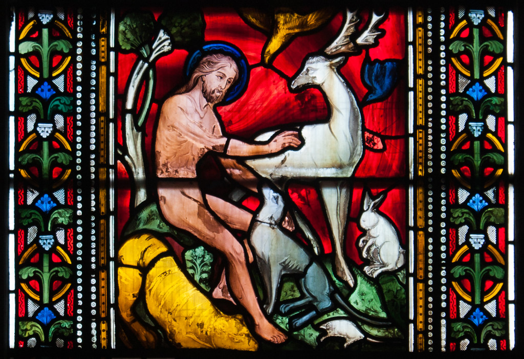 Adam naming the animals.  Photo of stained glass in Dublin Christ Church Cathedra by Andreas F. Borchert
